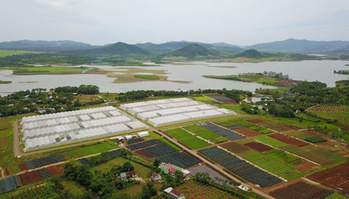 Toàn cảnh một trang trại rau củ quả FVF của Tập đoàn TH nhìn từ trên cao.